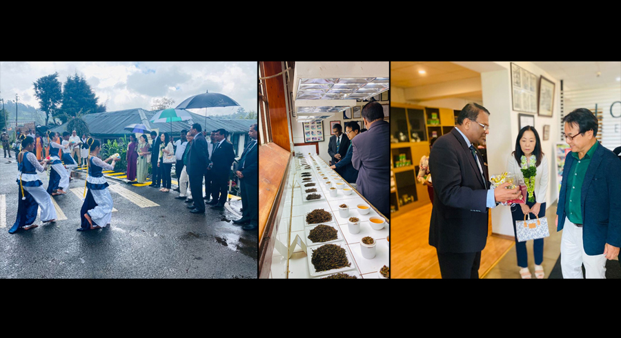 Hayleys Plantations showcases tea innovations from field to factory to Ambassador of Japan to Sri Lanka