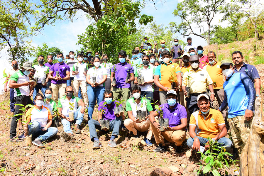 Hemas Consumer partners Rainforest Protectors Sri Lanka to plant 15000 trees in reforestation initiative