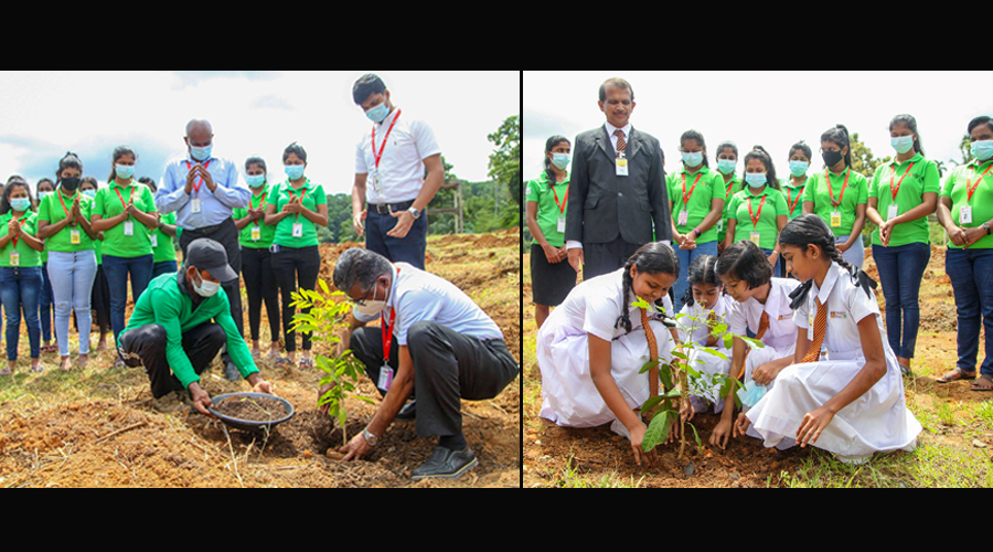 Brandix Breathes Life to World Environment Day with Reforestation