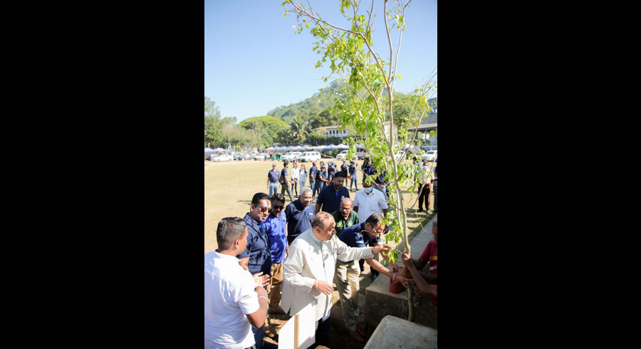 ComBank s Central Region staff join Kandy s tree planting drive