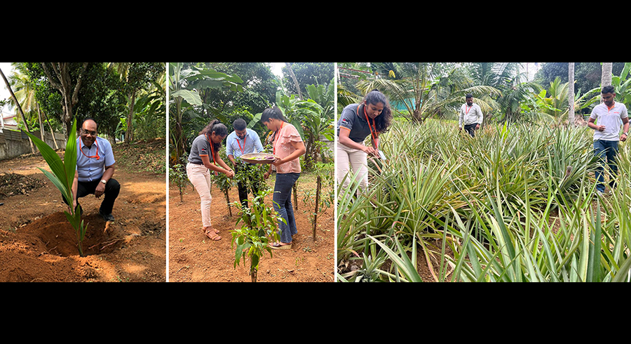 HUTCH promotes sustainable and organic agriculture at Walpola Engineering Complex