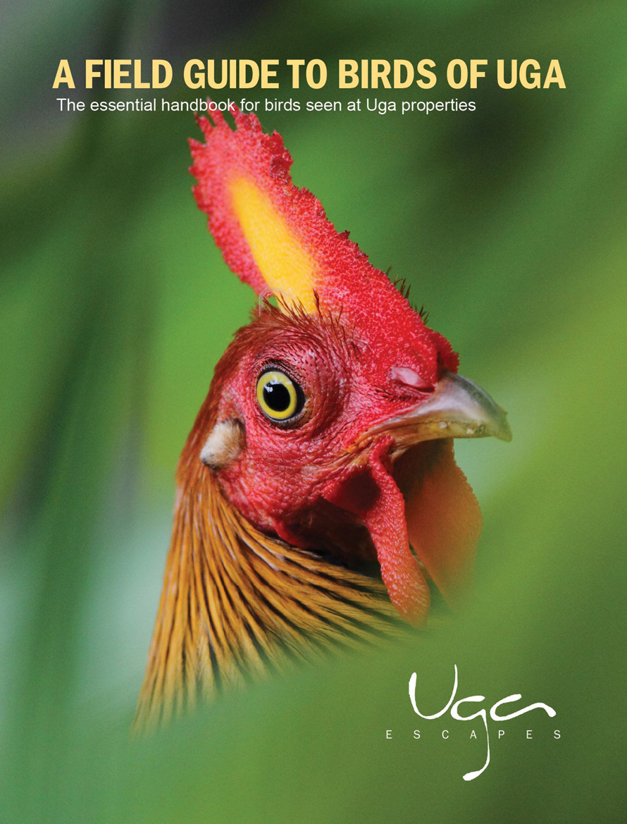 Uga Escapes compile A Field Guide to Birds of Uga