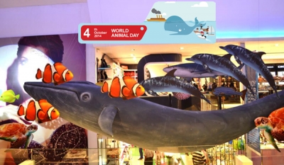 Odel promotes responsible whale watching for World Animal Day 2014