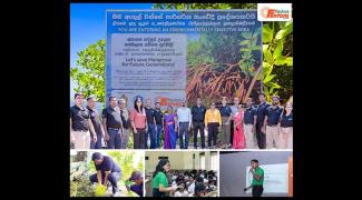 Hayleys Fentons Marks Strong Progress in ‘Roots of Resilience’ Mangrove Restoration Project