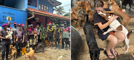 Animal SOS Sri Lanka : A Sanctuary Built on Compassion and Second Chances