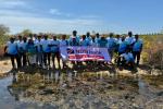 NDB Volunteers Support Mangrove Conservation Efforts at Anawilundawa NDB Volunteers Support Mangrove Conservation Efforts at Anawilundawa