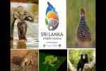 Cinnamon Hotels & Resorts Takes Sri Lankan Wildlife Heritage to the Global Stage with Inaugural Wildlife Festival in the UK