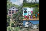 A Journey Through Demodera Estate’s Tea and Heritage