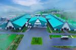 Ambewala attracted 100,000 visitors during the Avurudhu season