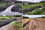 Dearo Agri joins National Program ‘Eka Mitata Govibimata’ to achieve rice self-sufficiency in Sri Lanka