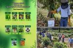 Halgolla Estate Pioneers Climate-Smart Agroforestry in Netherlands-Backed Pilot