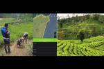 Hayleys Plantations Launches TSHADE to strengthen climate resilience and enhance tea quality Hayleys Plantations Launches TSHADE to strengthen climate resilience and enhance tea quality