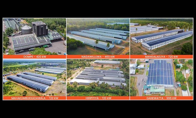 Hayleys Solar Delivers 4,036 kW Solar Installation Across Six Locations for Pussalla Meat Producers