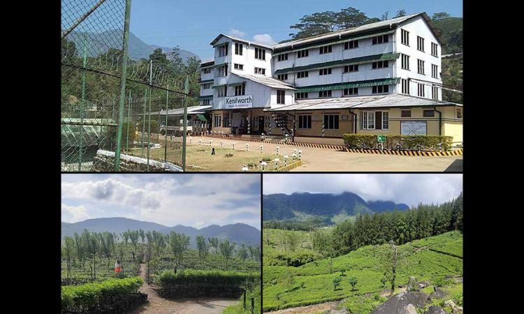 Kenilworth Estate : Crafting premium Ceylon tea through innovation and heritage