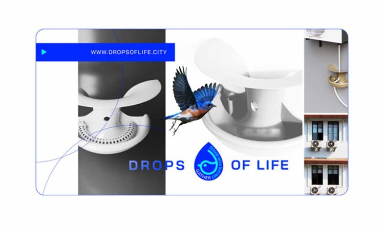 A Simple Urban Solution Can Help Save Birds During Extreme Heat