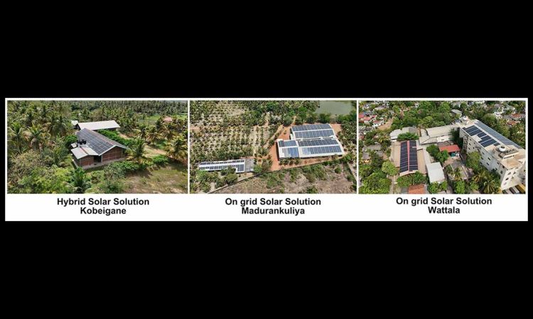 Paradise Toys Accelerates Toward a Sustainable Future with High-Impact Hybrid Solar Investment