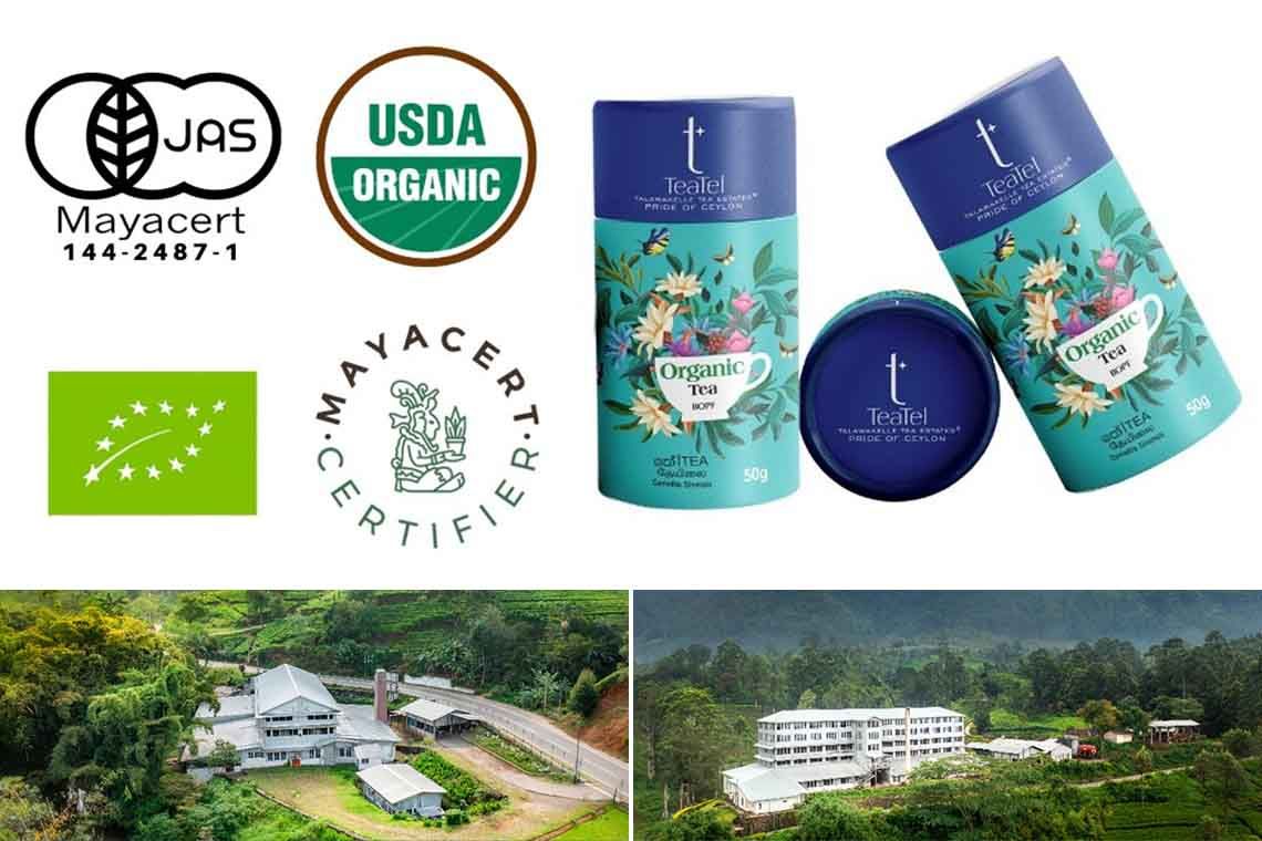 Talawakelle Tea Estates PLC Achieves International Organic Certification for Great Western and Logie Teas