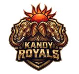 U.S.-based investor Sandhya Ajjarapu takes ownership of Kandy Royals