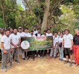 HUTCH Advances ESG Commitment Through Rajawaka Rainforest Restoration