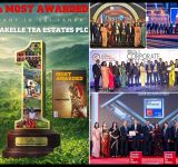 Hayleys Plantations Achieves Top Recognition Among Sri Lanka’s Most Awarded Corporate Groups in 2025