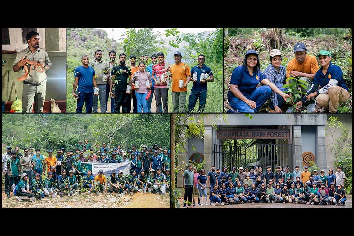 Ocean Lanka Continues Rainforest Restoration Journey with Successful Completion of Phase 02 Near Sinharaja Forest Reserve