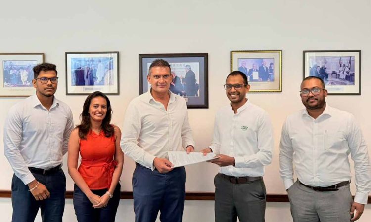 Green Cabin Advances Growth Strategy through Havelock City Collaboration