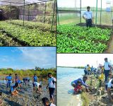 Tokyo Cement Marks World Environment Day with 100,000 Mangroves for a Greener Sri Lanka
