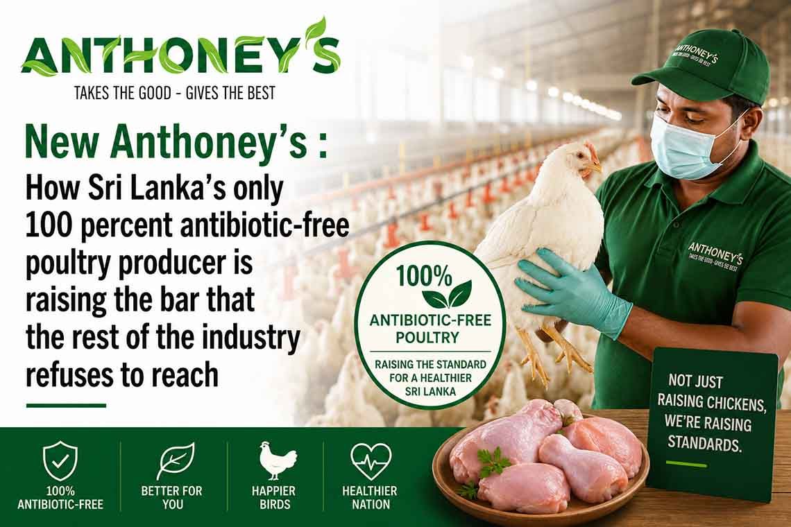 New Anthoney’s How Sri Lanka’s only 100 percent antibiotic free poultry producer is raising the bar that the rest of the industry refuses to reach