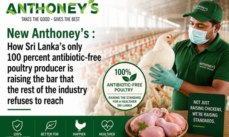 New Anthoney’s : How Sri Lanka’s only 100 percent antibiotic-free poultry producer is raising the bar that the rest of the industry refuses to reach