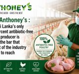 New Anthoney’s : How Sri Lanka’s only 100 percent antibiotic-free poultry producer is raising the bar that the rest of the industry refuses to reach