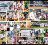 Bogawantalawa Tea Estates PLC Advances Climate Positive and Net Zero Leadership through World Environment Week 2026