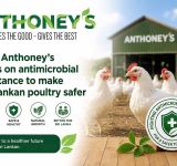 New Anthoney’s takes on antimicrobial resistance to make Sri Lankan poultry safer