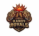 Optimum Health Care acquires 50% stake in Kandy Royals ahead of LPL Season 6