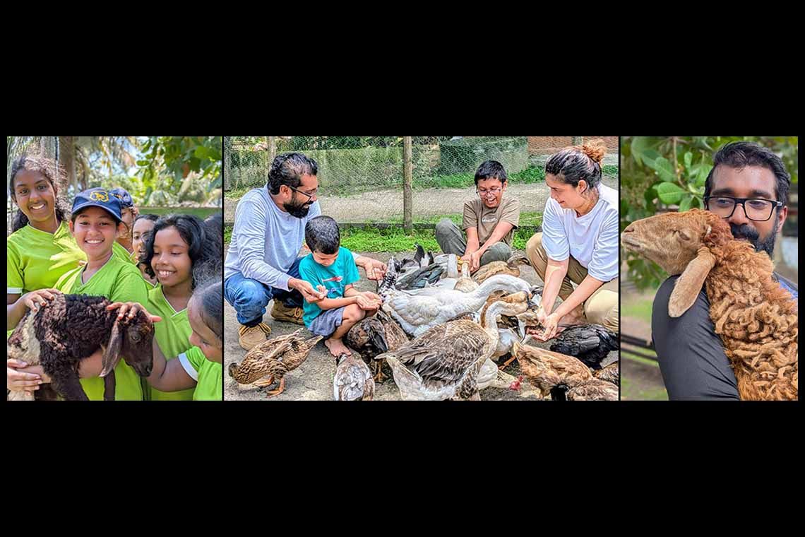 Panda Farmacy announces reopening following months of restoration after Cyclone Ditwah