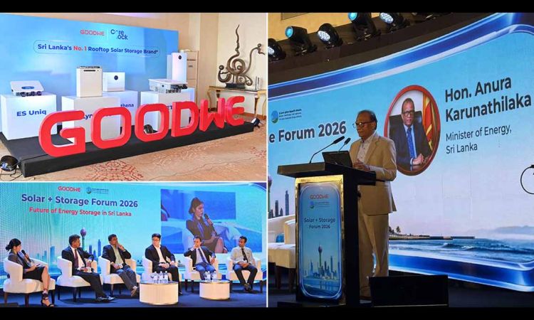 Sri Lanka's Energy Future Takes Center Stage at GoodWe and SLSEA's Solar + Storage Forum 2026