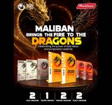 Maliban Group Shines with Two Gold Dragons Among Seven Accolades at Dragons of Sri Lanka 2026