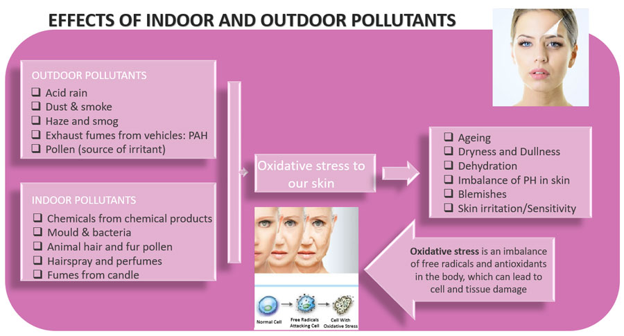 businesscafe Skin Defence Against Indoor and Outdoor Pollutants