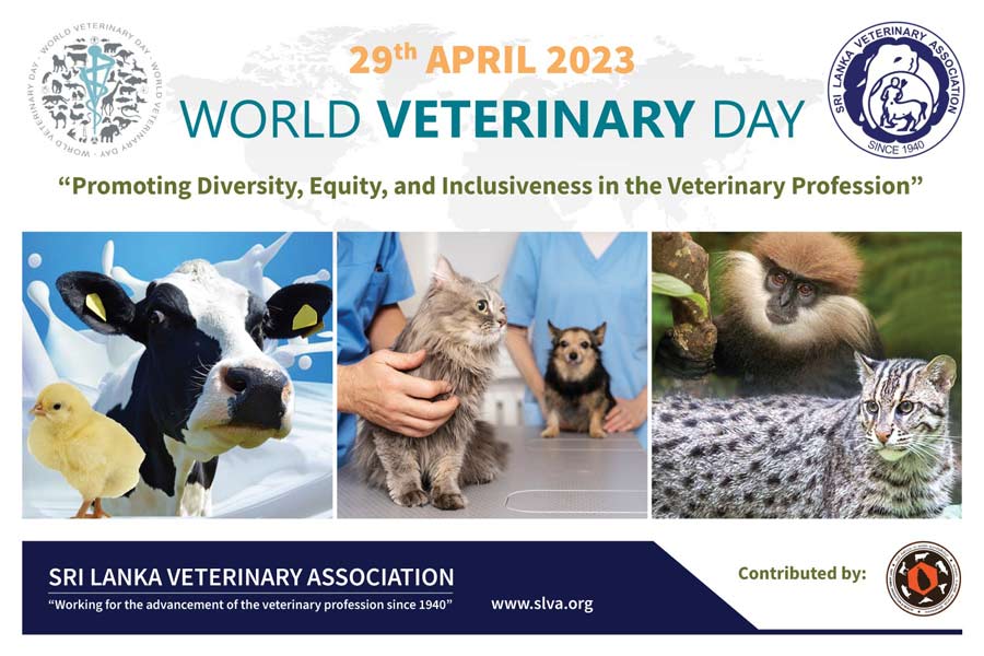 Sri Lanka Veterinary Association celebrates International Veterinary Day with range of activities
