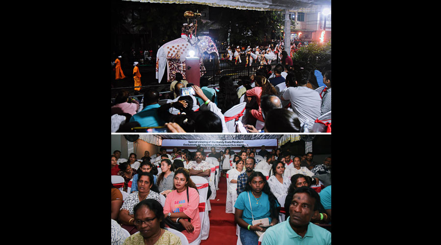 Ceylinco Life policyholders treated to VIP viewing of Kandy Perahera