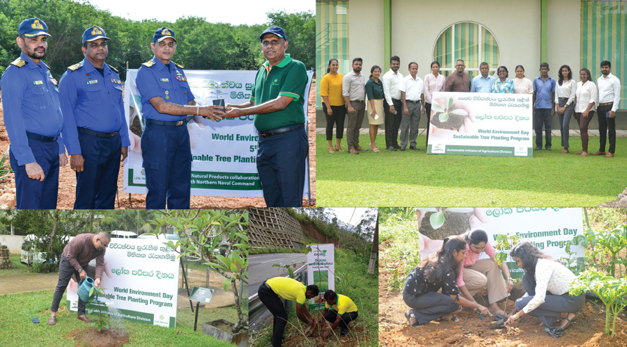 Image Link Natural Environmental Day