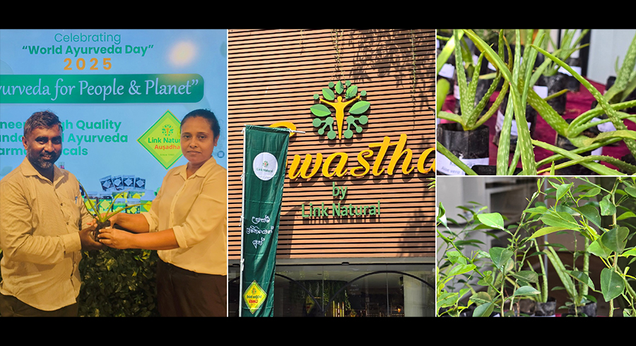 Ayurveda for People Planet