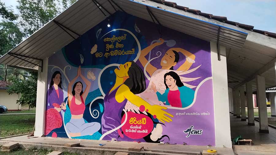 Fems unveils wall art to spark conversation and normalize menstrual health conversations Image