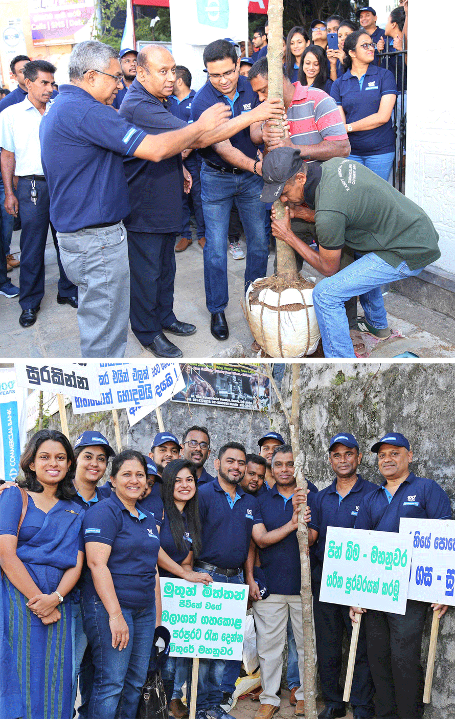 ComBank plants trees in Kandy City as part of centenary celebrations