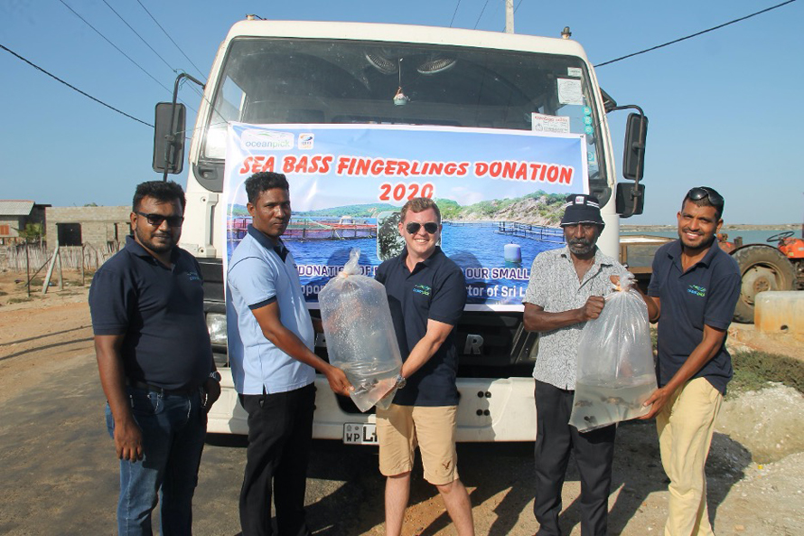 Oceanpick donates Seabass fingerlings in support of smallholder fishing communities in Sri Lanka