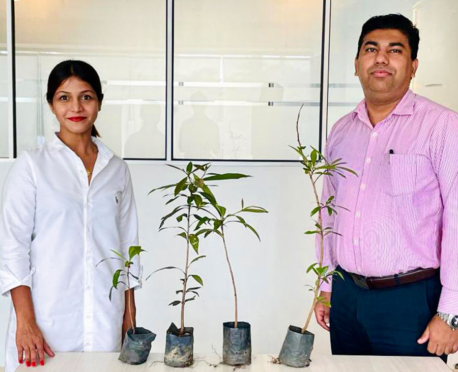 News Publisher pledges to plant a tree for every new client