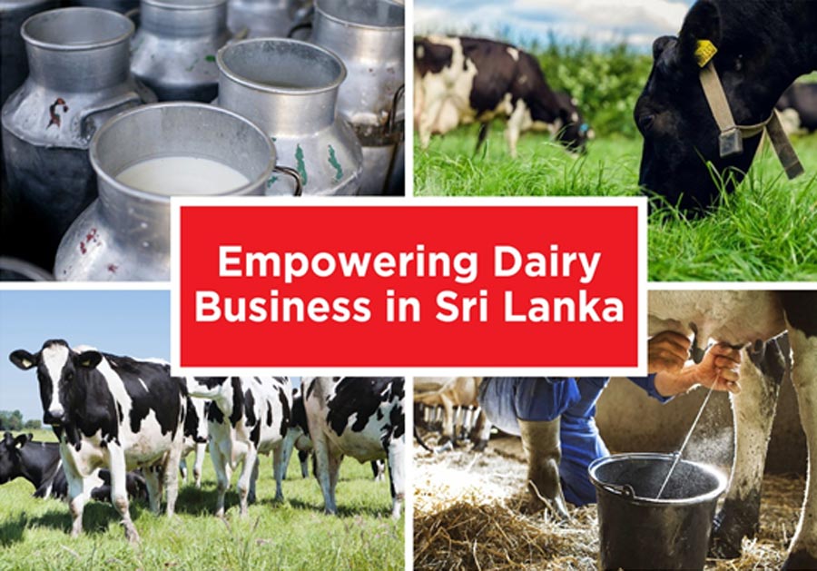 DFCC Bank uplifts Sri Lankan dairy sector through innovative financing initiatives
