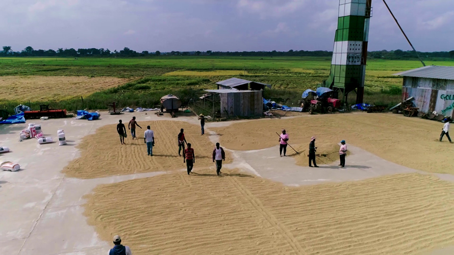 Crysbro strengthens Sri Lankas food security agenda with seed paddy production