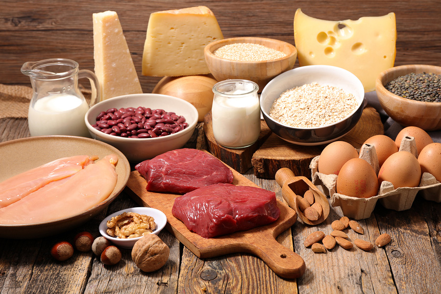 Nutrition 101 The importance of a daily diet rich in protein