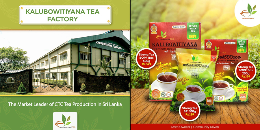 State owned Kalubowitiyana Tea soars to new heights with record profits and record prices paid to tea smallholders
