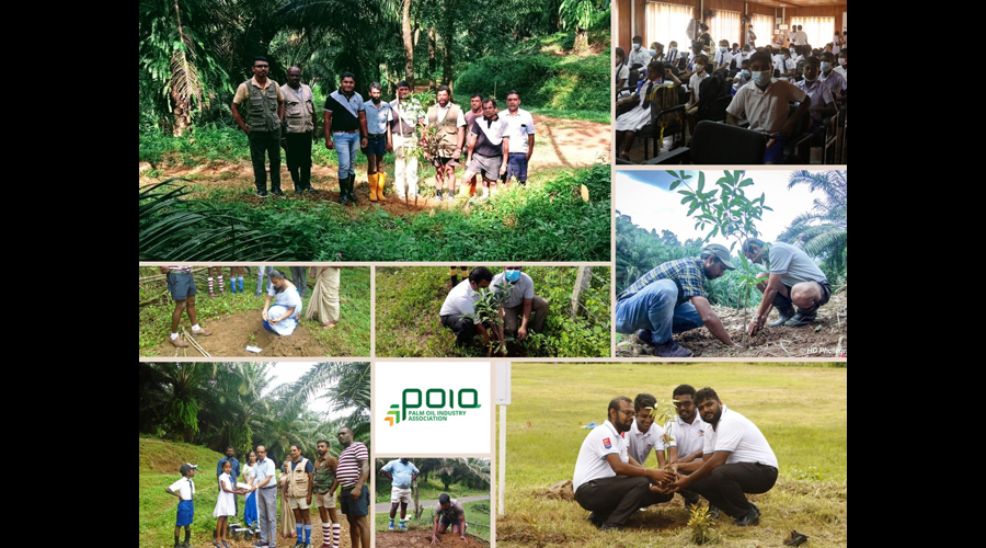 Together with Mee POIA Commits to Planting 100000 Trees Marking World Environment Day